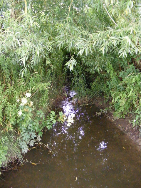 Stream next to the footbridge