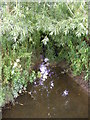 Stream next to the footbridge