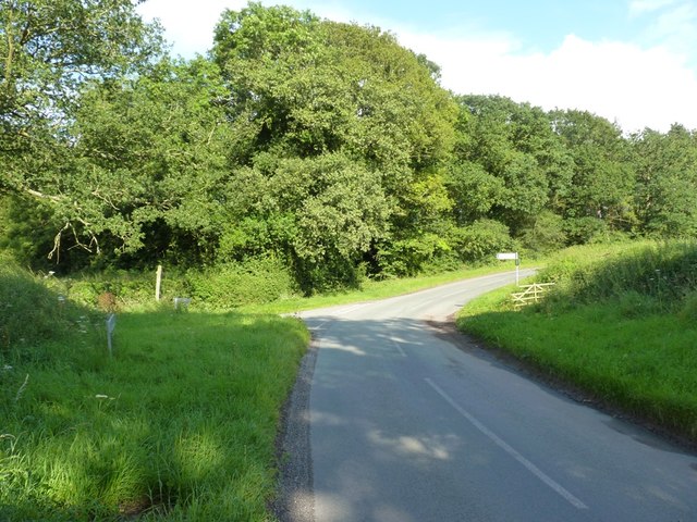 The junction of roads at Coxgreen Copse