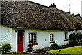 R4646 : Adare - Main Street - White & Red Cottage Dwelling by Joseph Mischyshyn