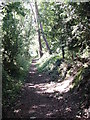 Ancient trackway in East Dorset