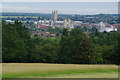 Green spaces at the University of Kent