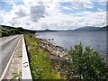 The shoreline of Loch Fyne