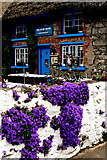 R4646 : Adare - Main Street - The Blue Door Restaurant Cottage by Joseph Mischyshyn
