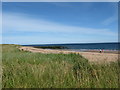 The beach at East Haven