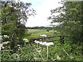 Looking across towards Annfield Plain