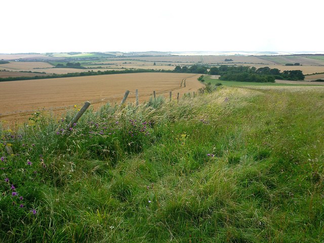 Track descending Lowbury Hill