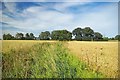 Footpath & Fields Near Inworth Hall