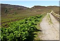 NH4332 : Moorland track, towards Lochan an Tairt by Craig Wallace