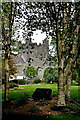 R4646 : Adare - Main Street - Town Park - View of Trinitarian Priory / Holy Trinity Abbey by Joseph Mischyshyn