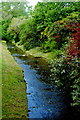 R4646 : Adare - Main Street - Town Park - River Maigue along West Side of Park by Joseph Mischyshyn