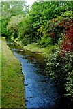 R4646 : Adare - Main Street - Town Park - River Maigue along West Side of Park by Joseph Mischyshyn