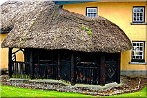 R4646 : Adare - Main Street - Yellow Thatched-Roof Cottage Dwelling by Joseph Mischyshyn