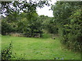 Farmland off Stanton Lane