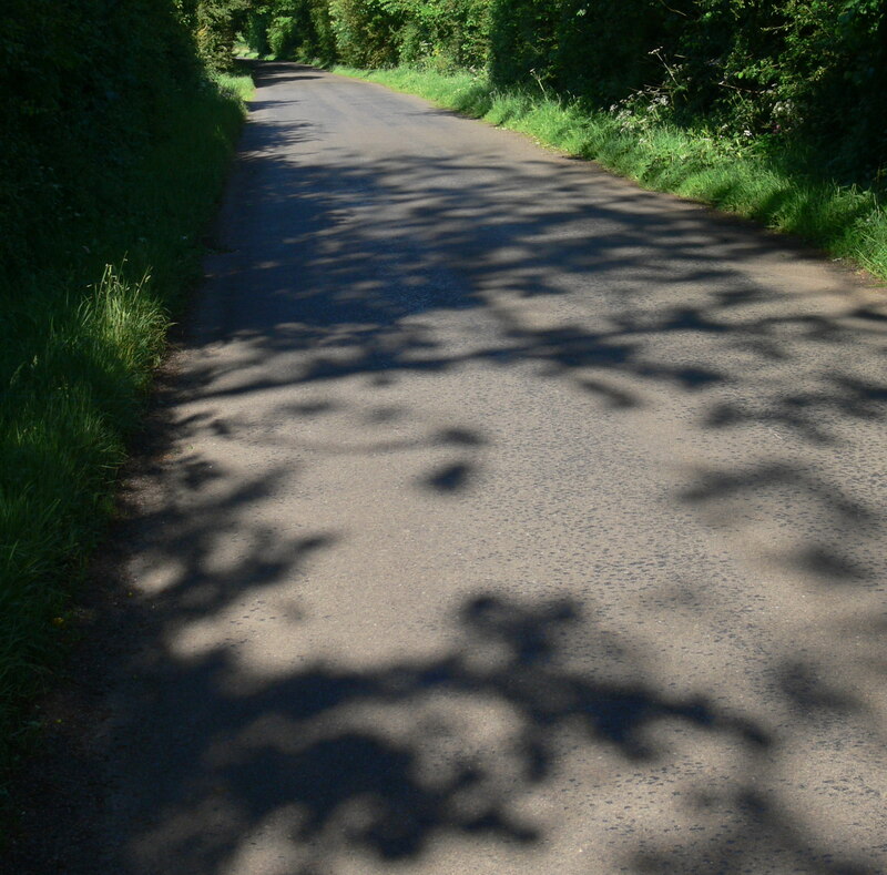 Shadows Along Pasture Lane © Mat Fascione Cc-by-sa/2.0 :: Geograph ...