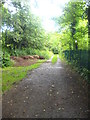 A lane through the Park in Maghull