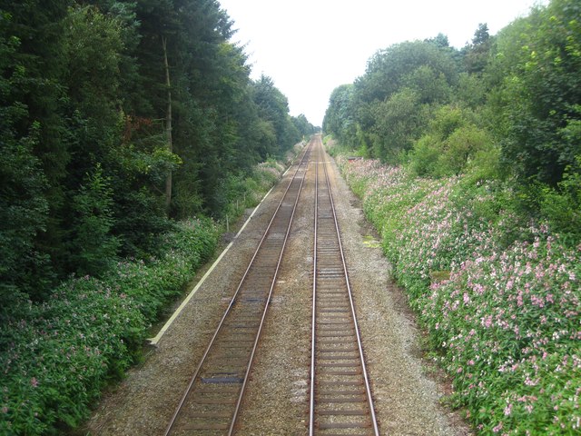 Railway tracks, Parbold