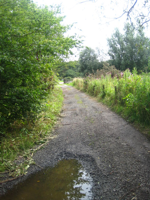 Footpath in Parbold
