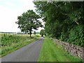 Country road alongside the grounds of Otterburn