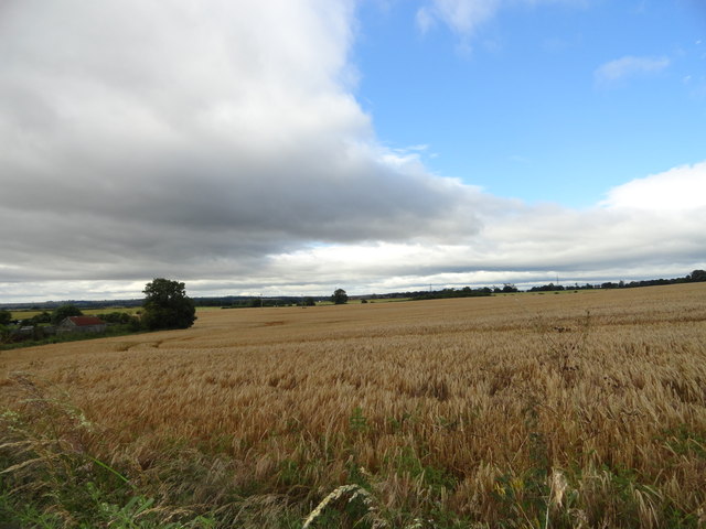 View to the west from Browney Lane