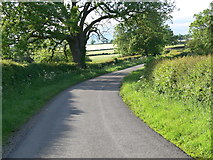 SK6815 : Gaddesby Lane towards Rotherby by Mat Fascione