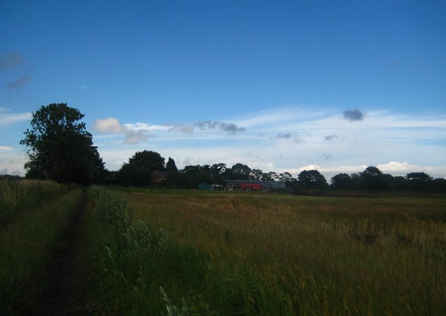 Fields alongside the motorway