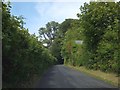 Hedges beside the road at Rushford Barton