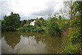 Pond by the Boars Head