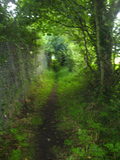 Secluded footpath