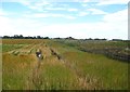 Moss Nook Farm fields