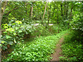 Footpath around Middle Moor