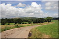 Hollinhall fields