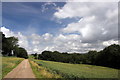 Hollinhall driveway and cornfields