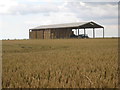 Dutch barn at Cottam