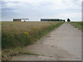 Bridleway at Cottam