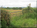 Field gate for access to footpath from Ankerdine Road