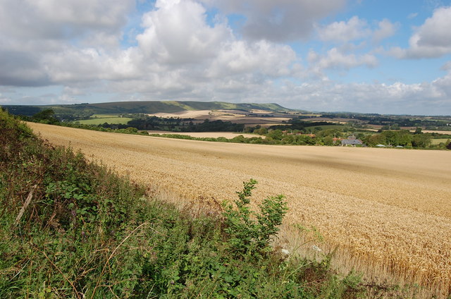 Crop fields near Milton Street