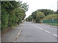 Upper Batley Lane - viewed from Woodlands Road