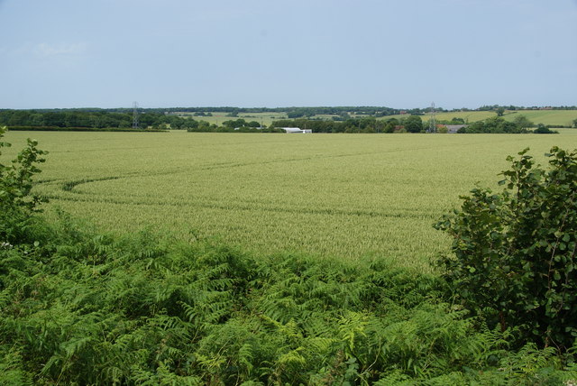 Green fields near Hersden