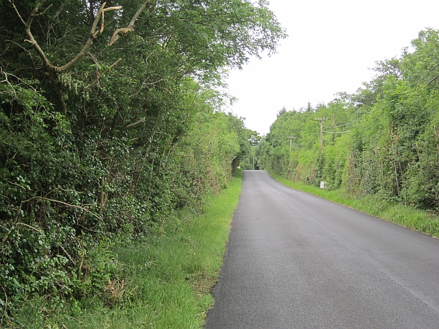 Local road, Coolaney