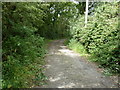 Bridleway leading to Hackhurst Lane Industrial Park