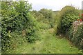 Path off Stockwell Lane to Bushcombe Lane