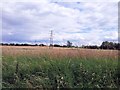 Electricity pylons stride across farmland near Poystreet Green