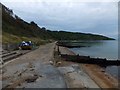 Groynes below Widdick Chine