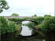 M9895 : Bridge on the Jamestown Canal, Co. Roscommon by JP