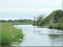 N0778 : The Camlin River, near Termonbarry / Tarmonbarry, Co. Longford by JP