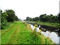 N2825 : Grand Canal in Kilgortin, Co. Offaly by JP