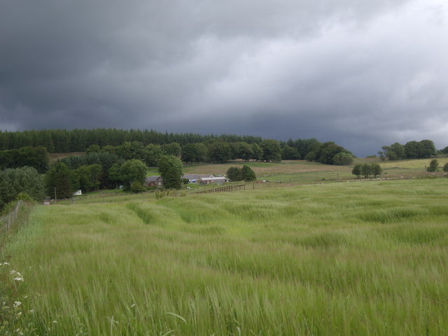 View Over A Field Of Barley © Stanley Howe Cc By Sa20 Geograph Britain And Ireland 9390