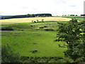 A valley scene neare Southdean Farm