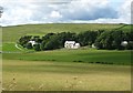 Houses at Earlside